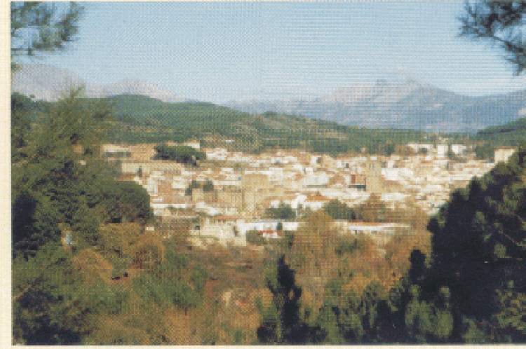 foto Fernando R.D.